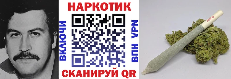 ГАШ Трубчевск