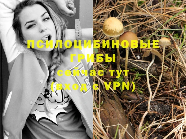 гашишное масло Горно-Алтайск