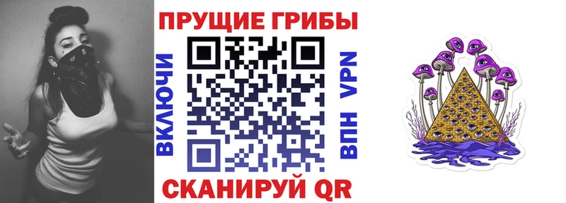 Галлюциногенные грибы Psilocybine cubensis Купить Трубчевск